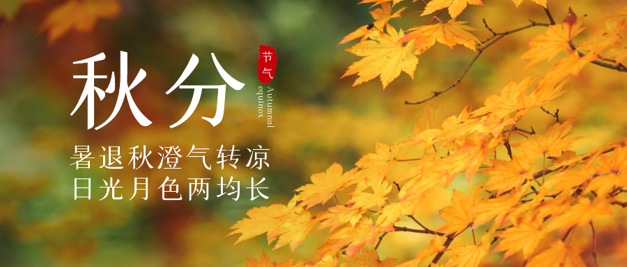 秋分祝福短信模板
